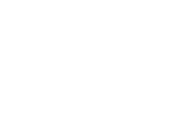 Minh Chinh Group Logo